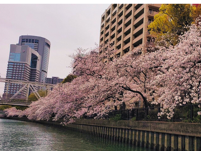 t̖KȂAl݂ADォґɃN[Yy݂܂B