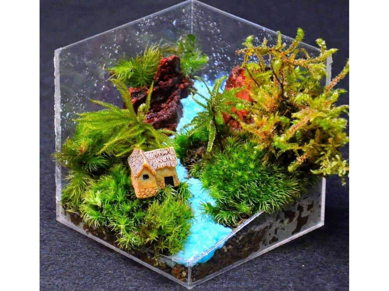 あなただけの苔テラリウムをお作りできます♪ 私の好きな構図は、こんな感じです。山・河・海を表現しますので、【山河海シリーズ】としています。参考に。