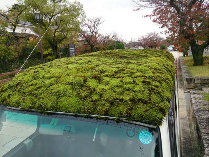 私が考案した「やぁね、こけちゃっかー」に乗って仕事(さくらや・いずはら集配専門クリーニング)をしています。ご興味があれば「やぁね、こけちゃっかー」も観て下さい。