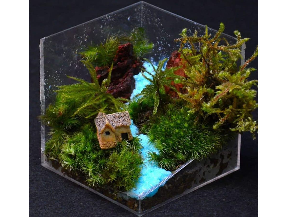 【山河海(さがみ)】シリーズの作品の例です。今回のワークショップでは、この様な、苔テラリウムを制作して頂きます。枯山水と言う造園の技法を使います。