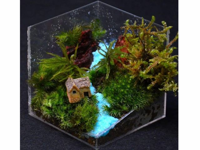 苔テラリウム体験 プライベートレッスン 駅から徒歩1分 毎体験1組 1 5名様 限定 苔と遊ぼう 苔 を使ってsdgsを考えよう 初心者様 ファミリー カップル 友達 仲間達にもおススメ 苔テラリウムワークショップいずはら じゃらん遊び体験 苔テラリウム体験 プライベートレッスン 駅から徒歩1分 毎体験1組 1 5名様 限定 苔と遊ぼう 苔 を使ってsdgsを考えよう 初心者様 ファミリー カップル 友達 仲間達にもおススメ 苔テラリウムワークショップいずはら じゃらん遊び体験