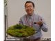 日本苔緑化研究所 所長の泉原一弥です!どうぞよろしくお願い致しモス!
