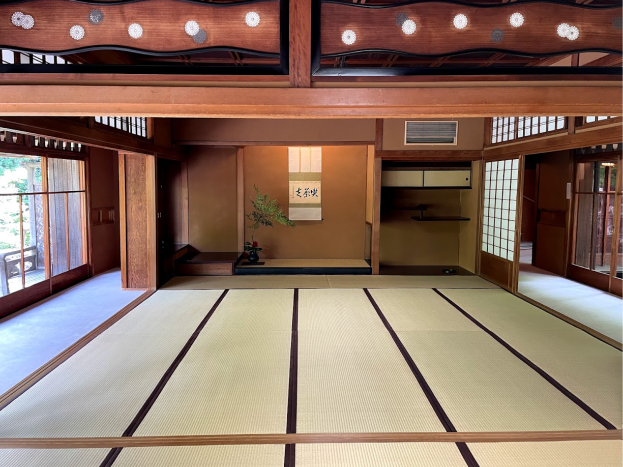 qlꏏɎQł܂i5΂炢̌Ă܂j