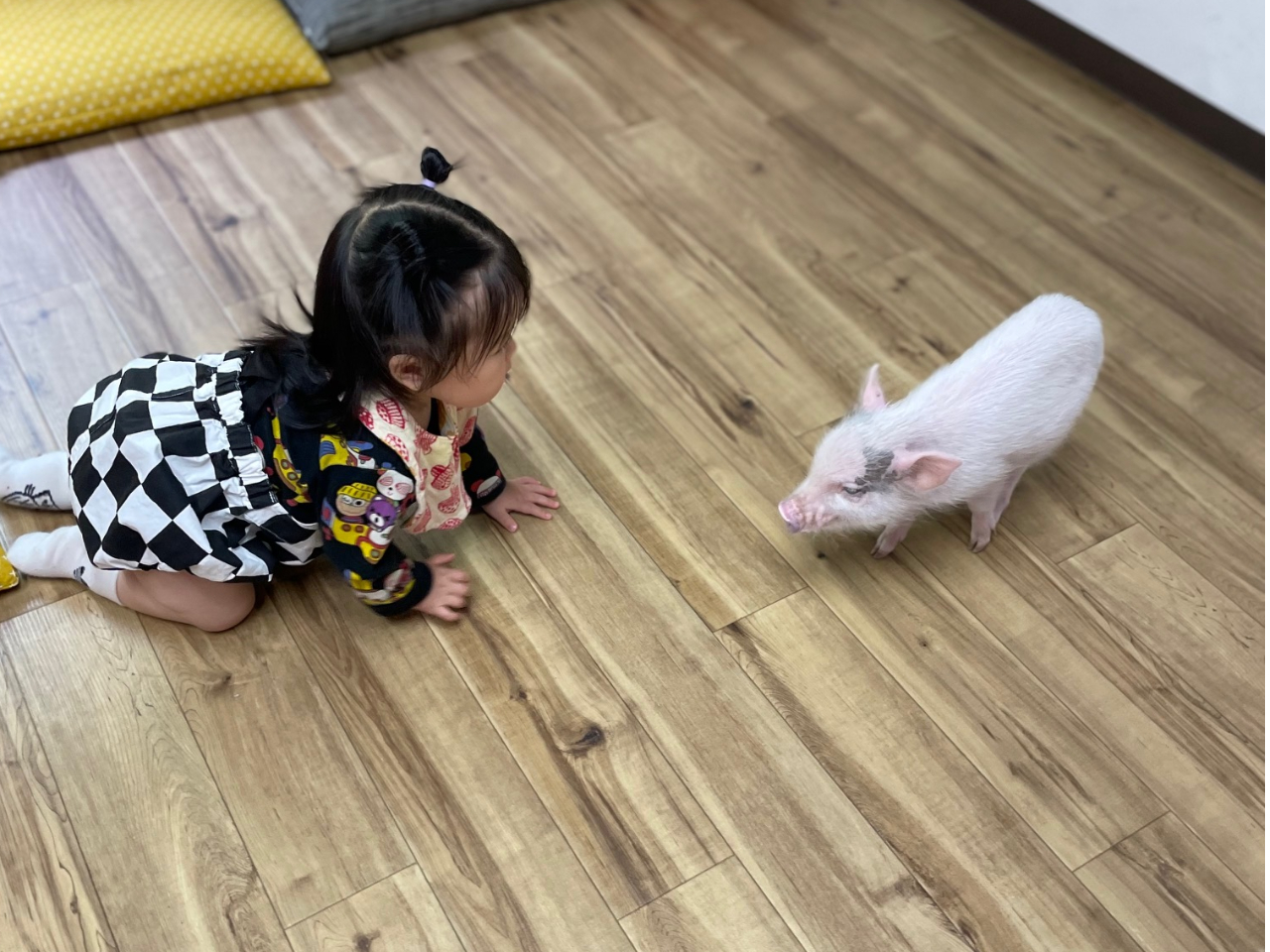 こぶたちゃんセット/俺の金の焼き芋 - じゃらん遊び体験