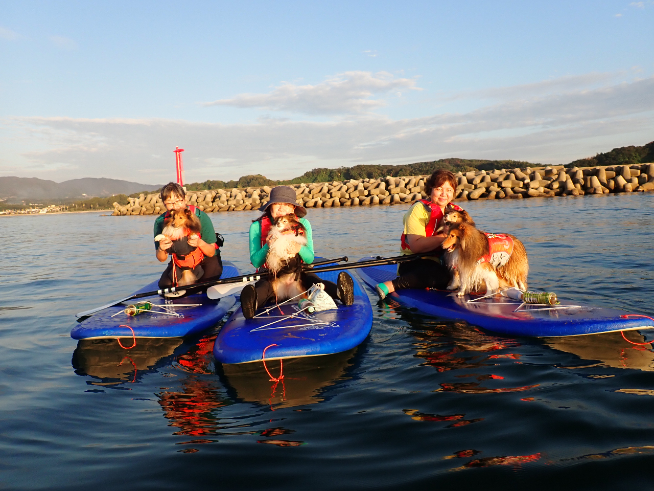 わんちゃんと一緒にも体験できます。