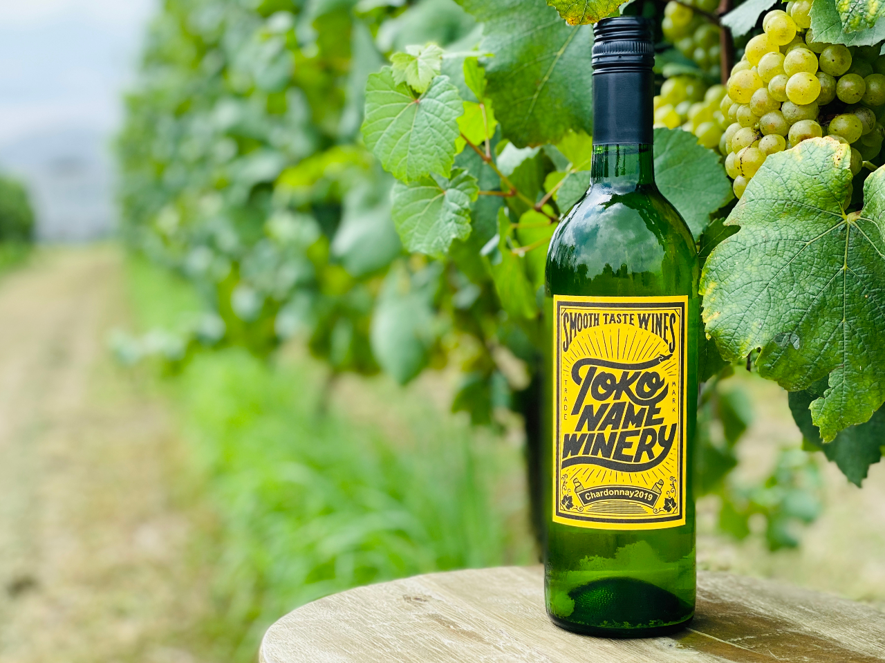 常滑ワイナリーのぶどう畑をご案内します。