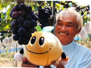 堂前です!ぶどうを育てて間もなく50年!皆さまのお越しをお待ちしております。
