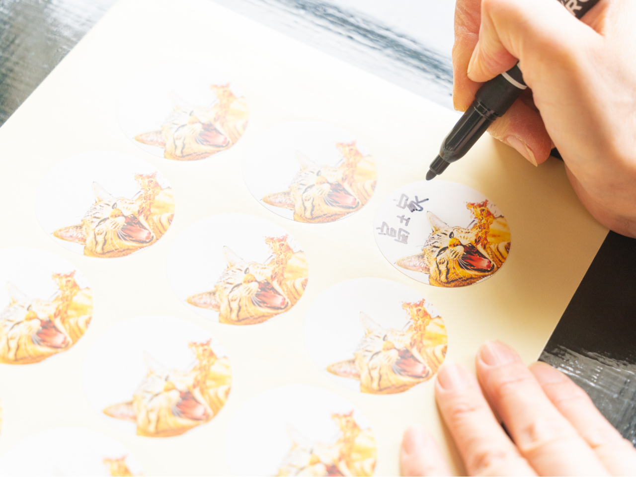 X̂肾ˏiɂ͑SĊŔL̂ɂ̃V[\Ă܂Bql肾˂ɂl̃V[\AOLƂ\łB