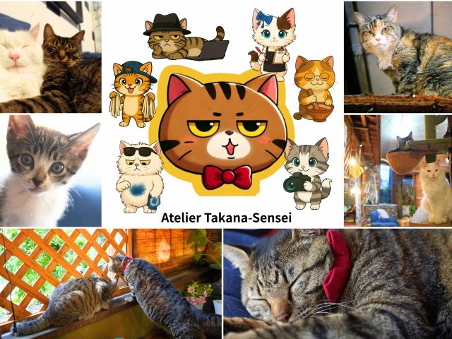 店内には看板猫の高菜先生をはじめ、7匹の猫たちがゴロゴロしています。染物体験をしながら、猫たちをモフモフすることもできます♪