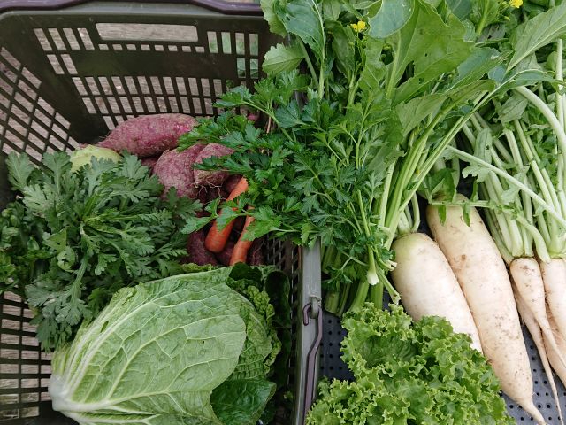取れる野菜は季節で変わります。