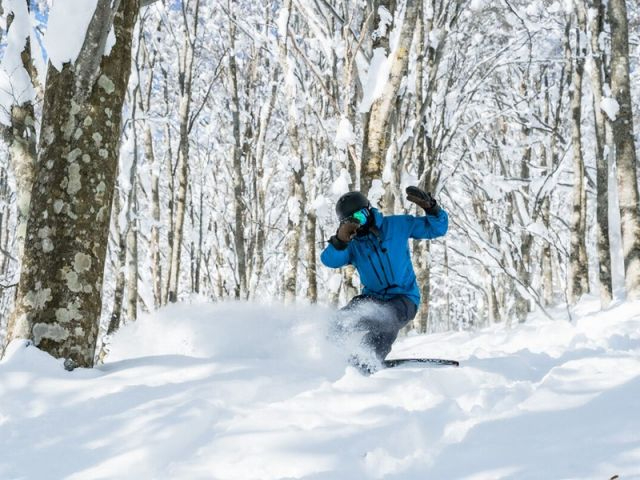 池の平温泉　アルベルブリックスキー場 池の平温泉アルペンブリックスキー場 - myokotourism.jp