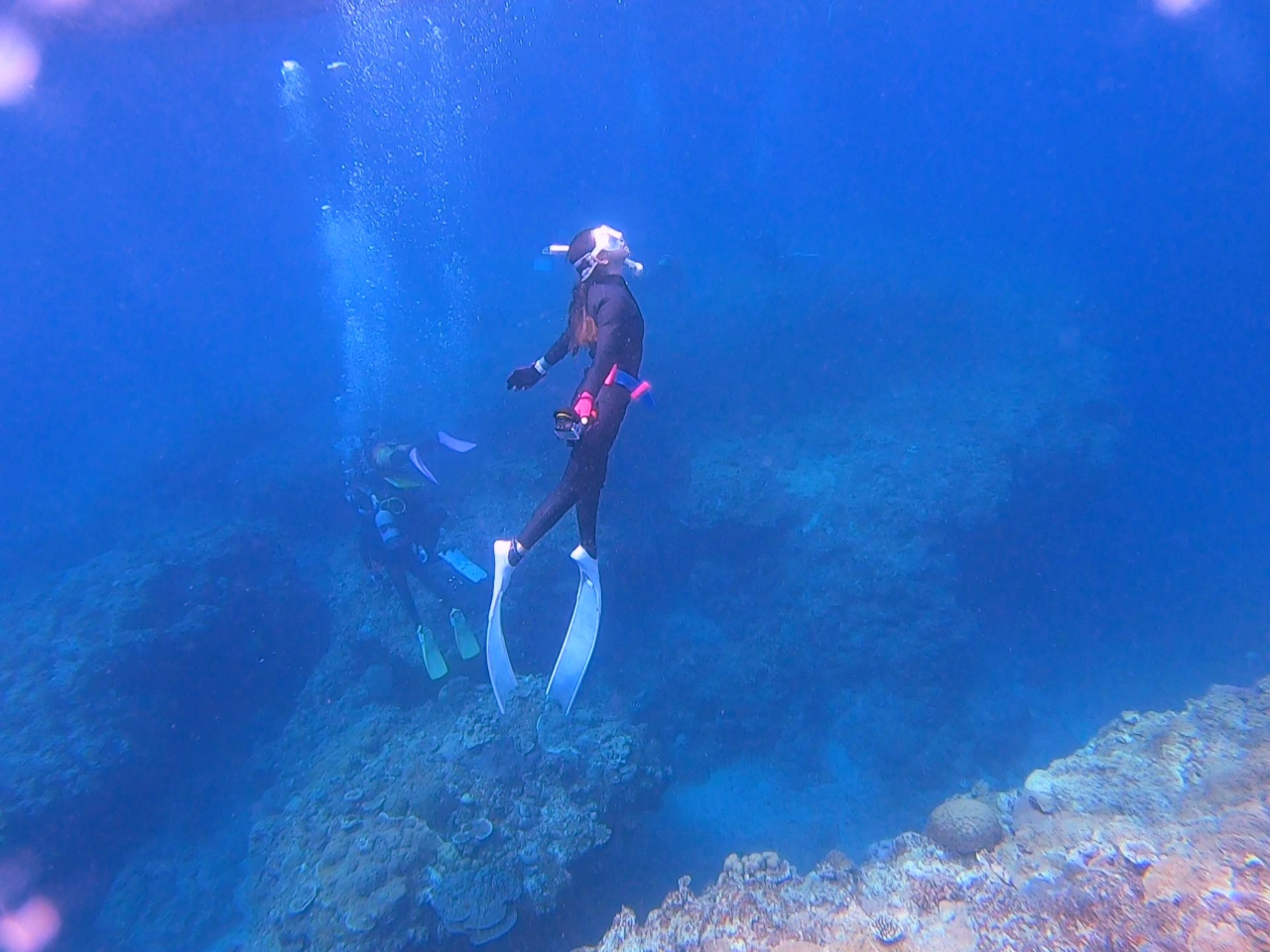 ƂĂYȃtI[ŎXʃ|CgAxxĂႢ܂B̂Ђ̂₿́AVKjo܂(*^^*)