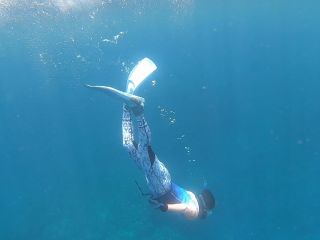 深くまで潜れるようになると、色んなお魚や地形を楽しめるようになります^^