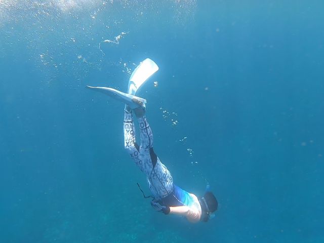 深くまで潜れるようになると、色んなお魚や地形を楽しめるようになります^^