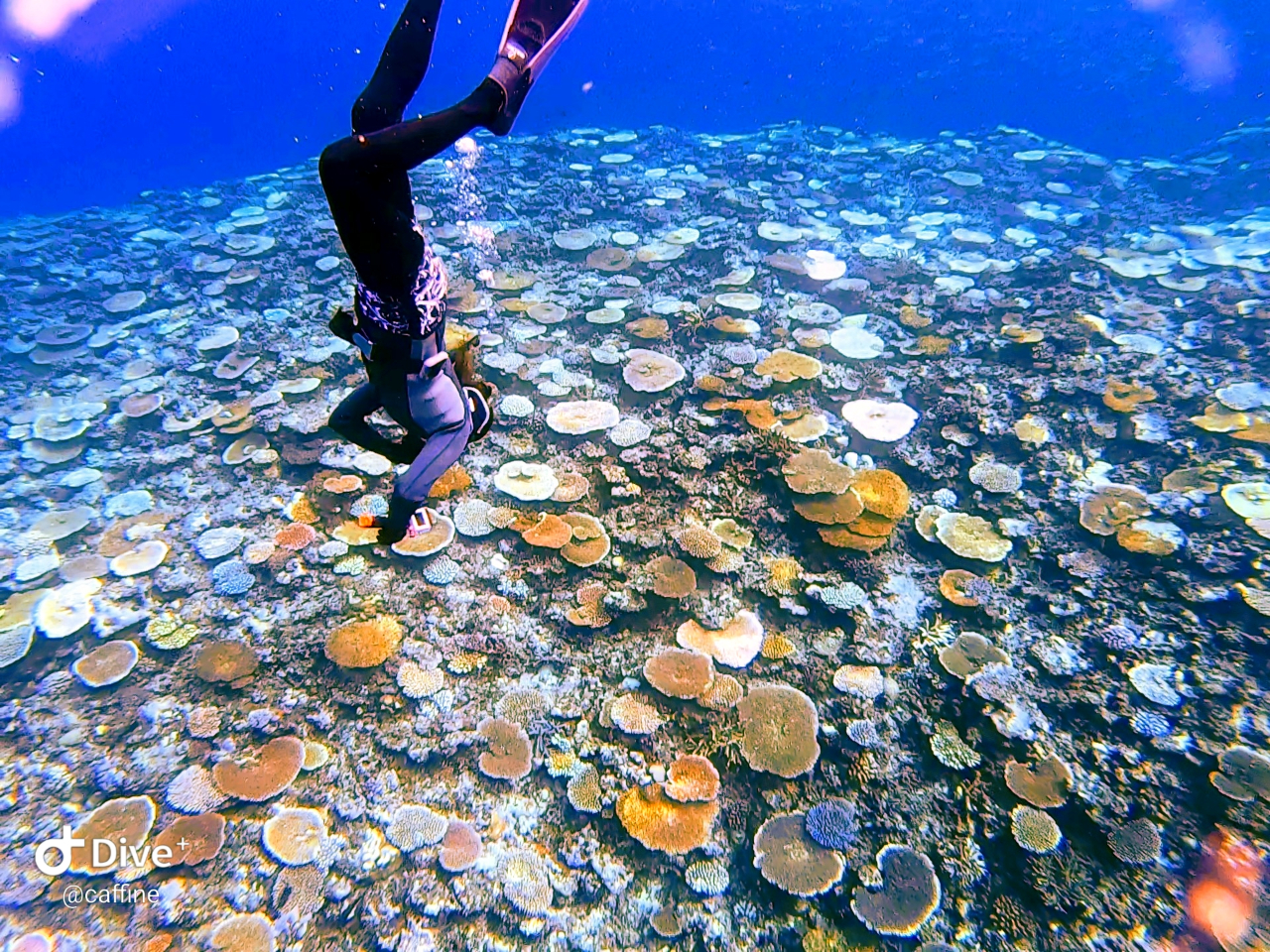 ։jłƌiFςăe[uX蔨Błˁ`