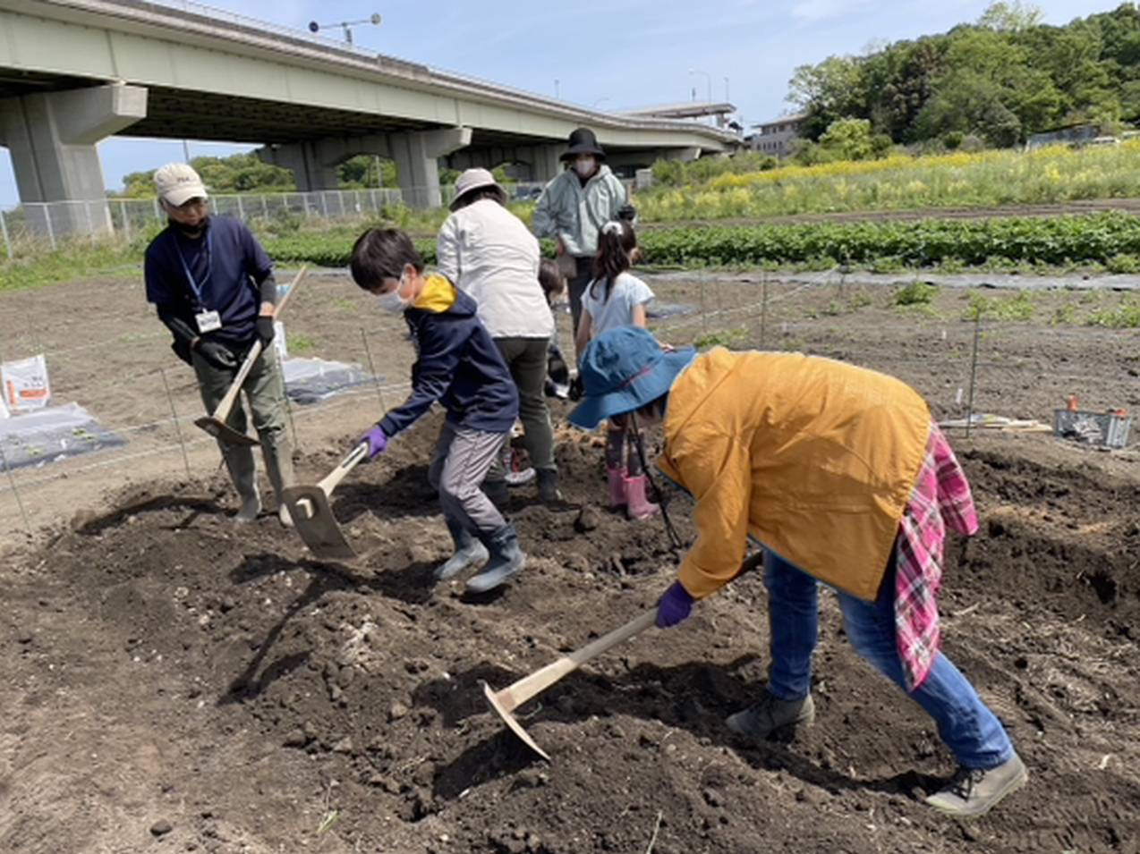 ���Ƃ����A�t�����ʂ������؎��H�̌��̗l�q