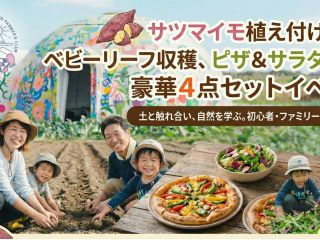 サツマイモ植付け・ベビーリーフ収穫&野菜ピザ体験の様子