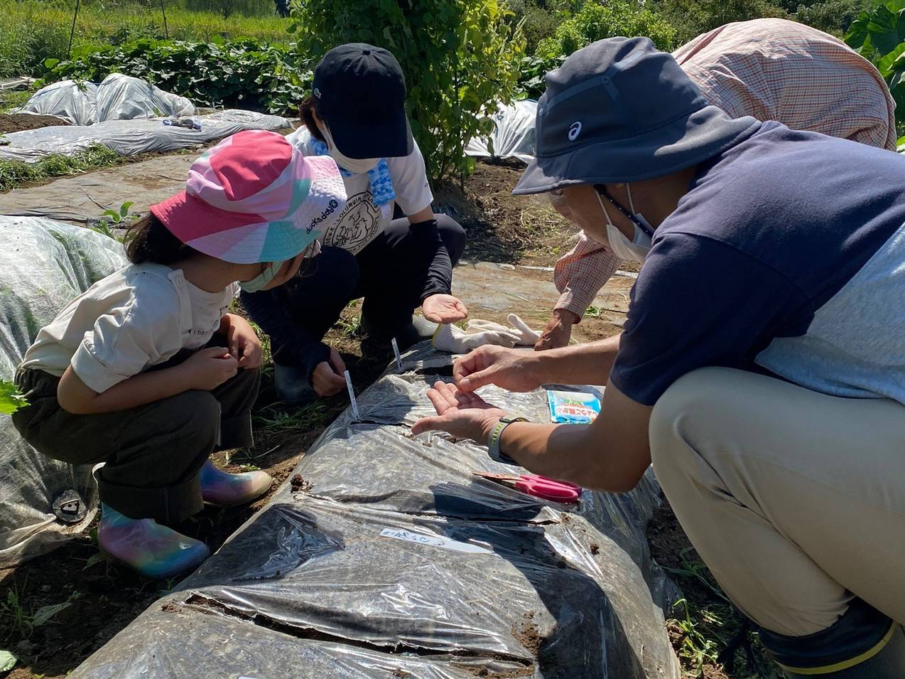 �T�c�}�C���A�t���E�x�r�[���[�t���n����؃s�U�̌��̗l�q