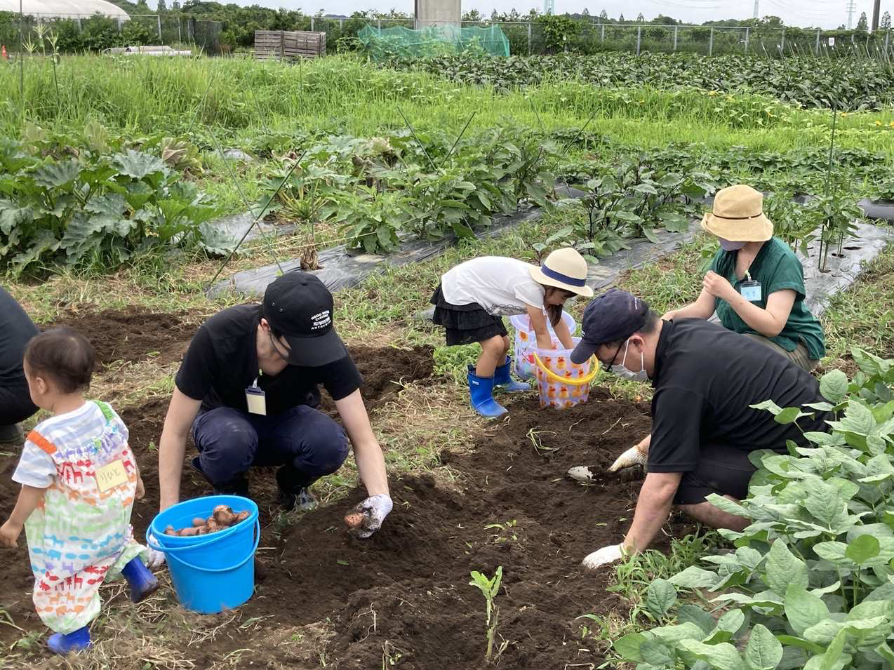 �W���K�C�����n�̌��̗l�q