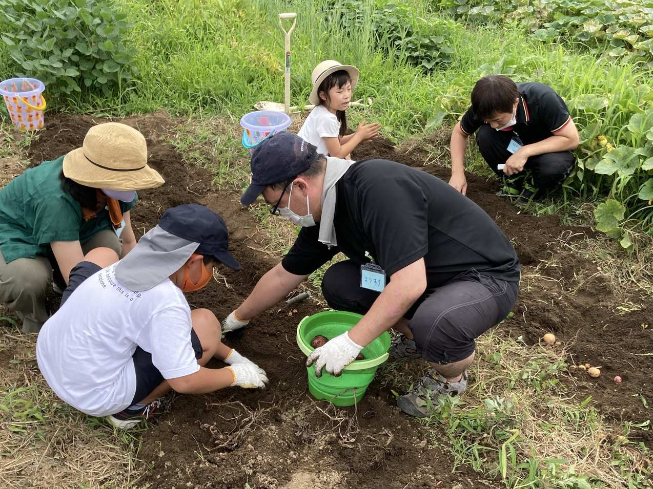 �W���K�C�����n�̌��̗l�q