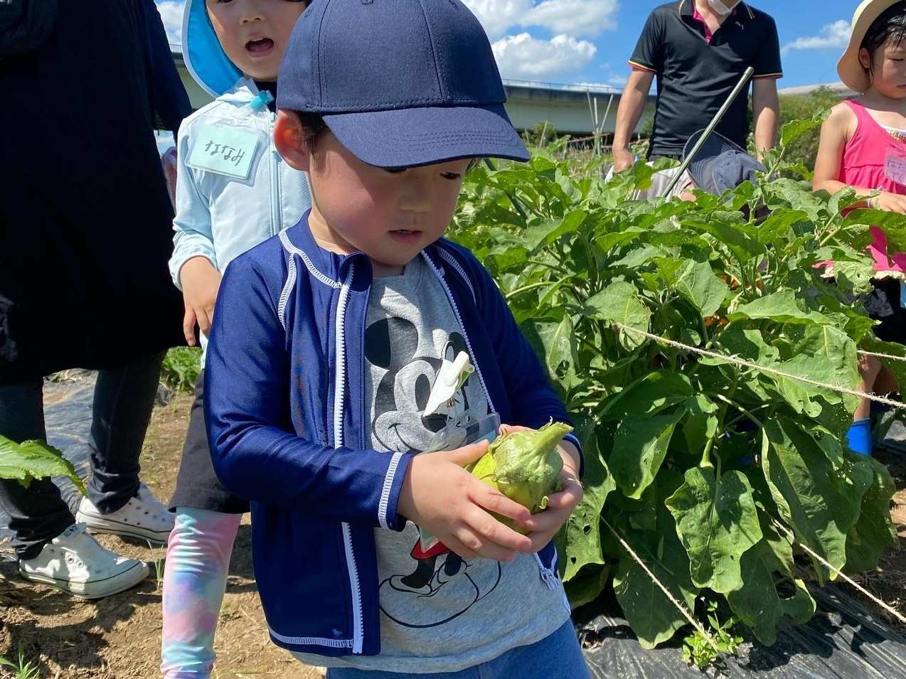 �Ė�؎��n�̌��̗l�q