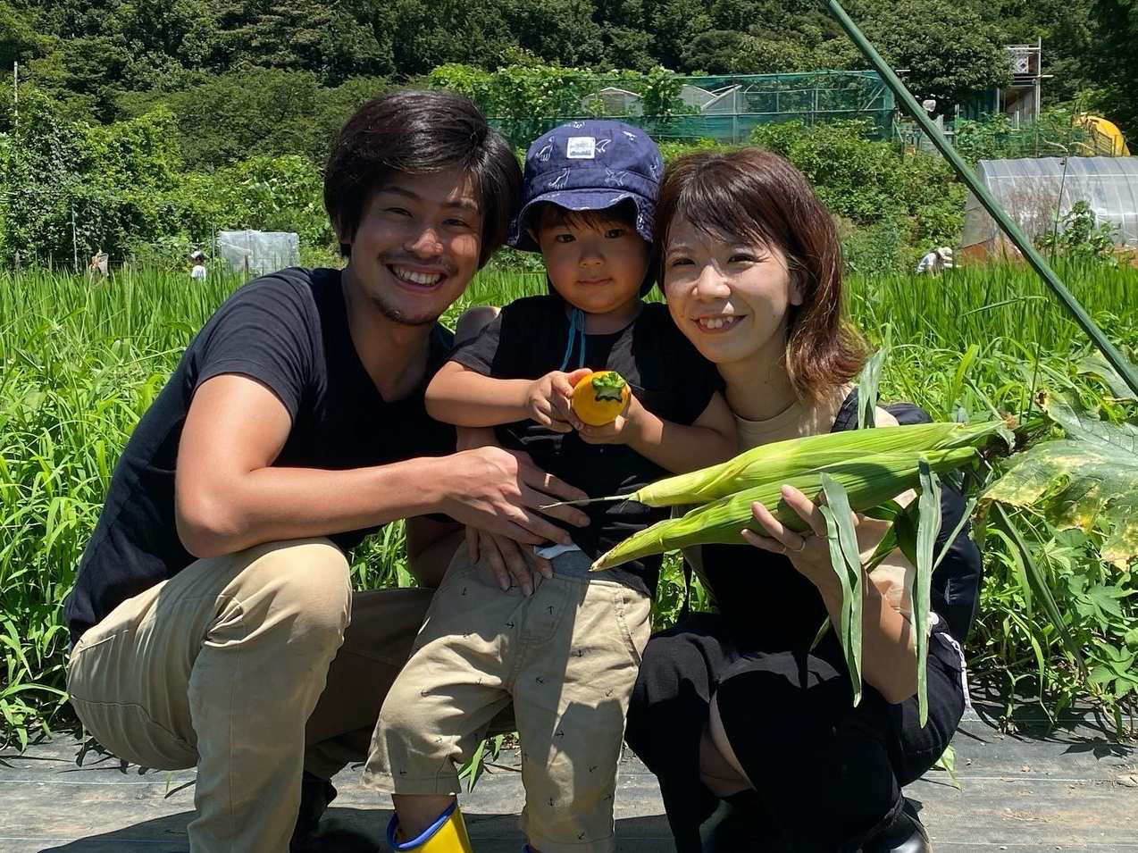 �Ė�؎��n�̌��̗l�q