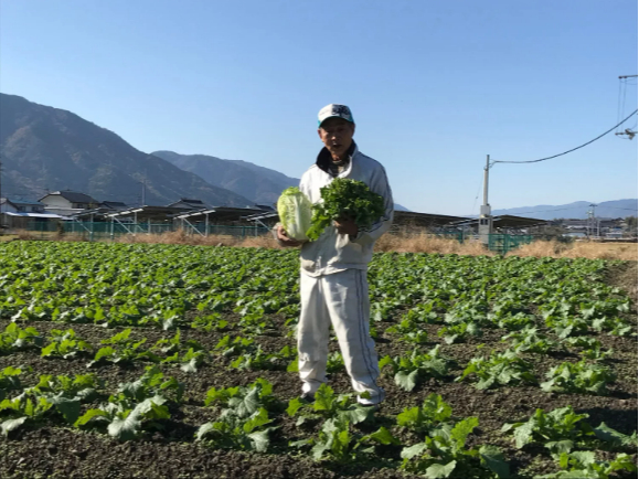 篠原農園!野菜収穫体験!!