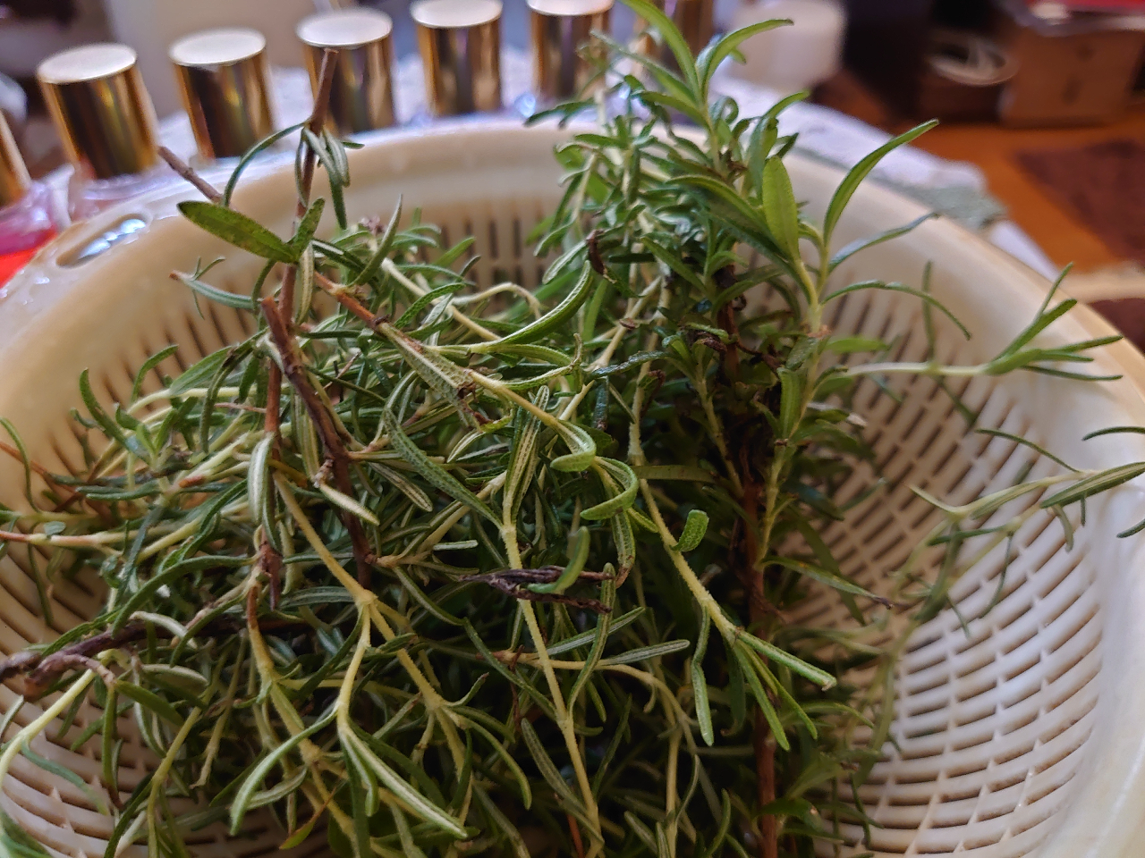 ̃tbVn[u̍y߂܂BG߂ɂ薳ꍇ܂B