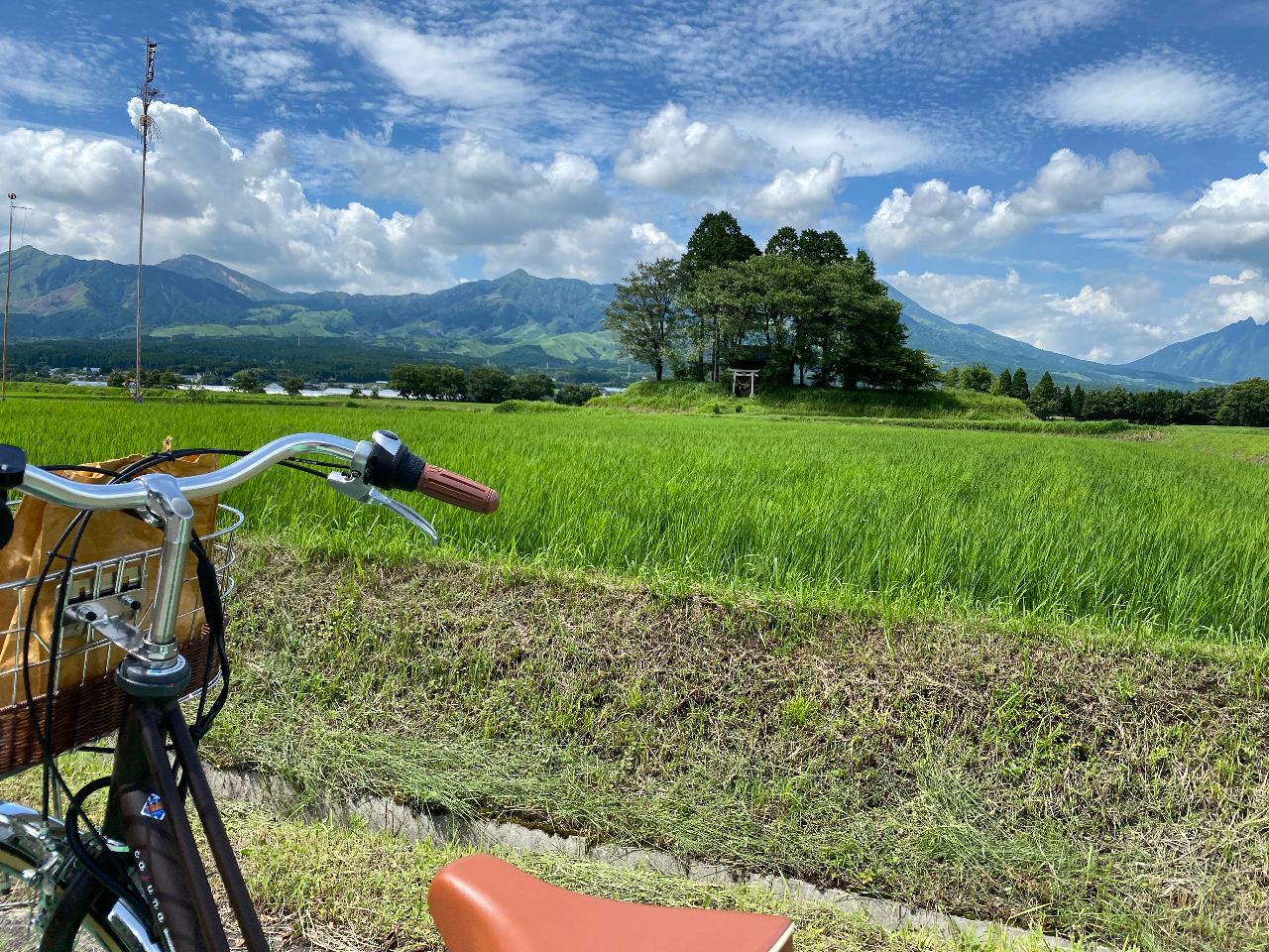 ̂ǂȓci̒𑖂̂CǂłˁB