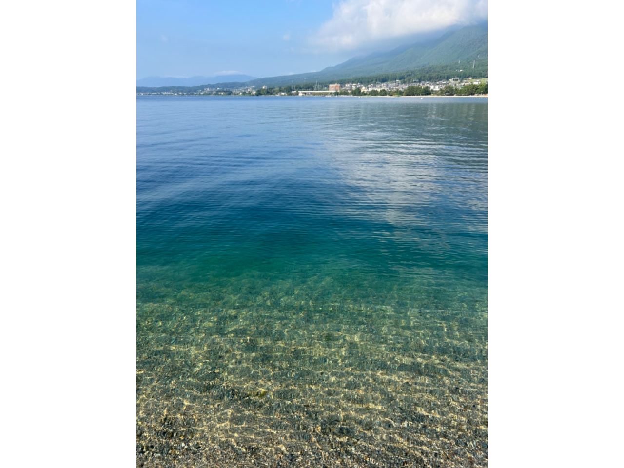 ���i�΃u���[���X�J�C�u���[�I