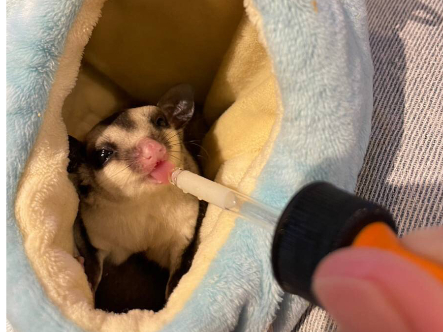 tNKBȂqlA}}ɂȂCł̌ł܂BCɓq͂}ł܂B