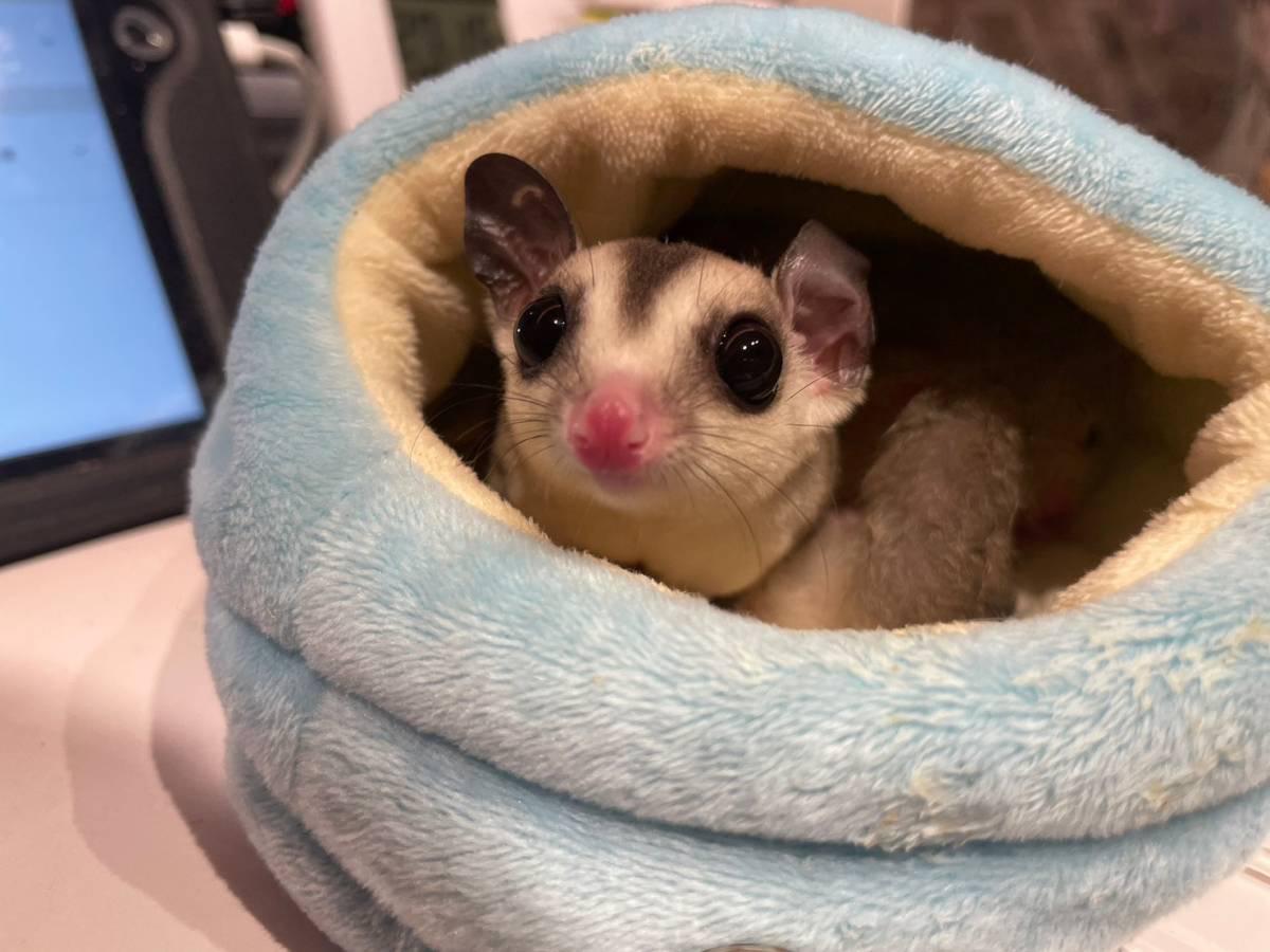 tNKlCłB~Ňł܂BȂqlɂƂĂD]łB