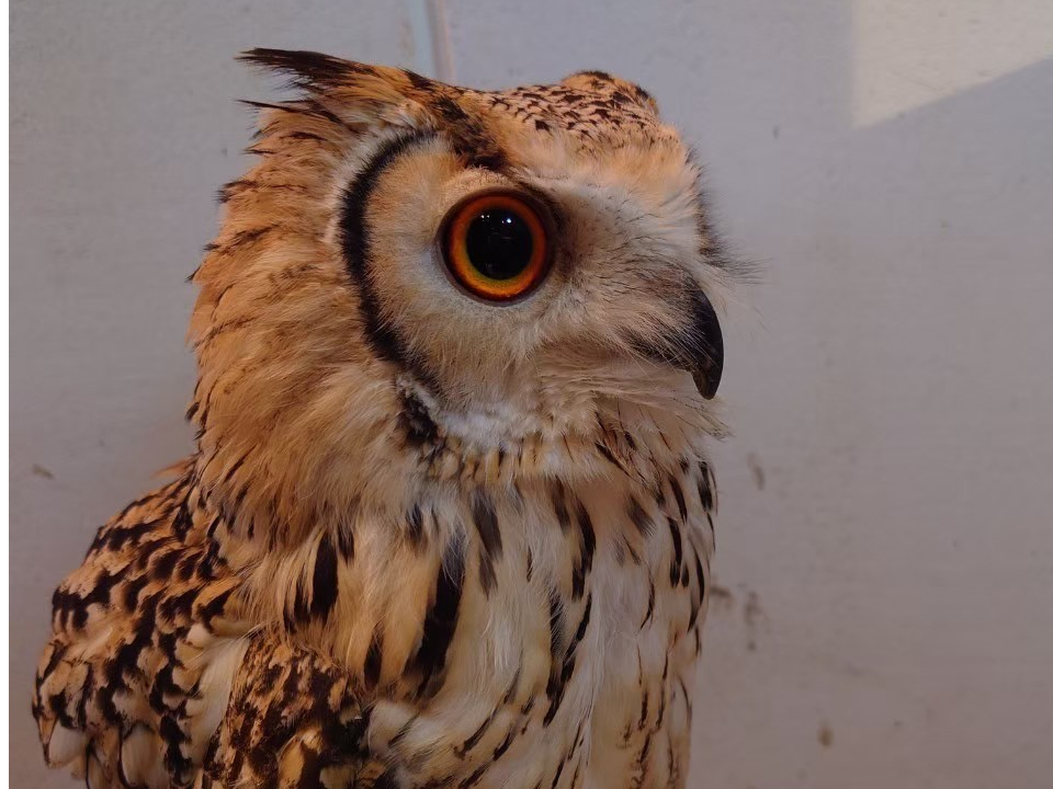 xKV~~YNBi₩łAxĂƂ܂BłA悵悵̂͂炢ȂłB