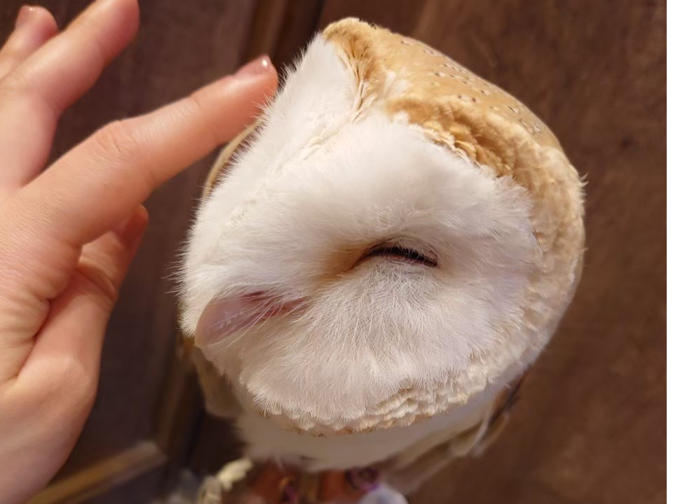 �����t�N���E����B�r�ɏ���Ă��Ă���邱�Ƃ��B