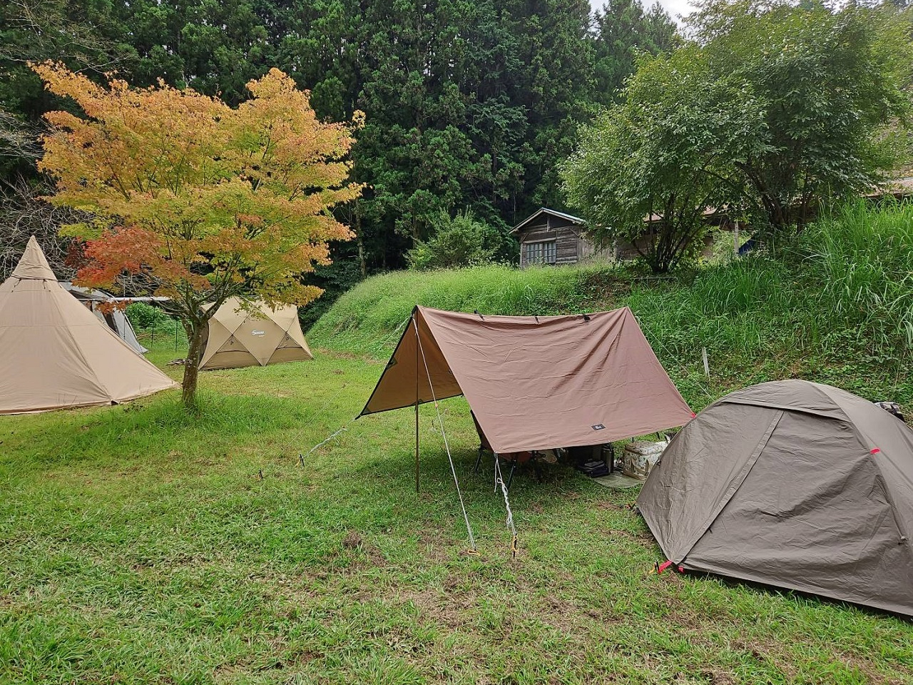 gtȂ̂ŃTCgւ͗\񏇔Ԃeg̑傫AԂ̑䐔ōׂ߂TCgւ̂ēƂȂꍇ܂̂ŁAiϓCɂ͂B