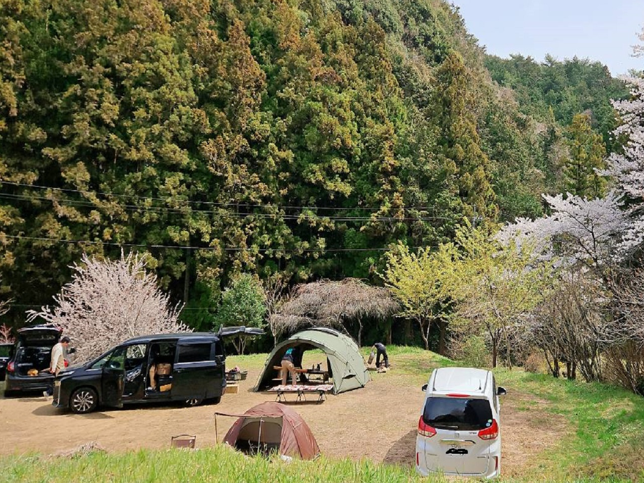 RɈ͂܂Ă̂т߂܂BtgŖƓ߂ɂȂ̂ŁAԓÂɖ߂܂BxĂ݂ĉ