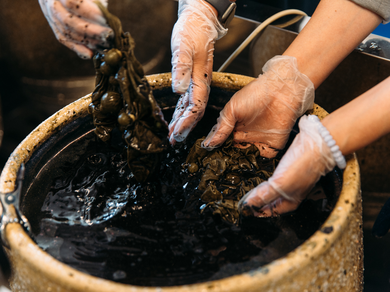 ���P�ɐ��n�����Đ��߂܂�