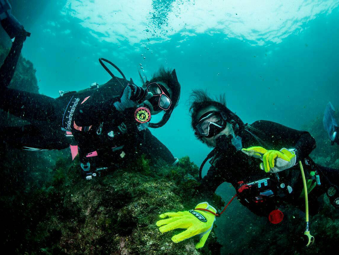 南紀大島ダイブアイランド DIVEISLANDの割引プラン