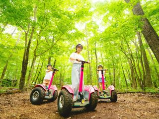 森の中はこんなにきれい!超気持ち良いです♪