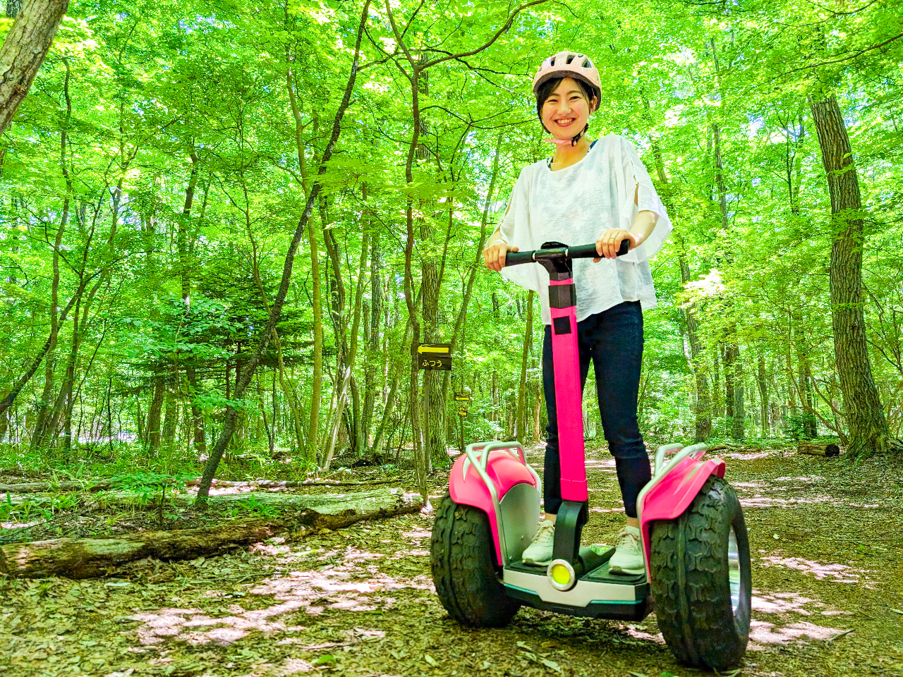 森の中はこんなにきれい!超気持ち良いです♪