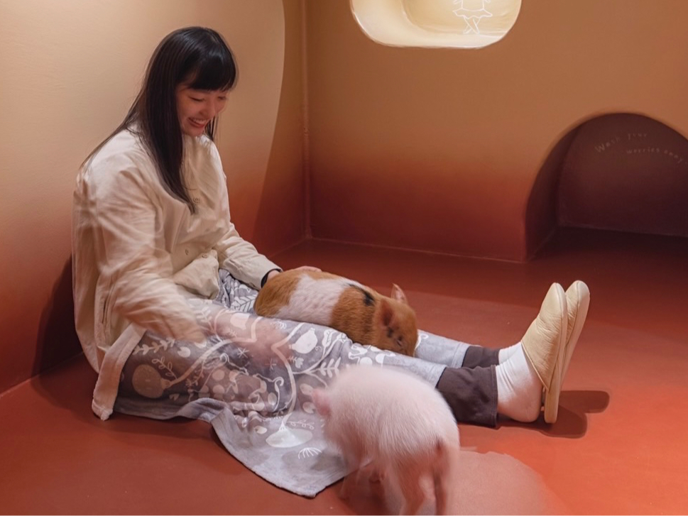 完全個室のプライベート空間でpigちゃんたちを独り占めできます!!