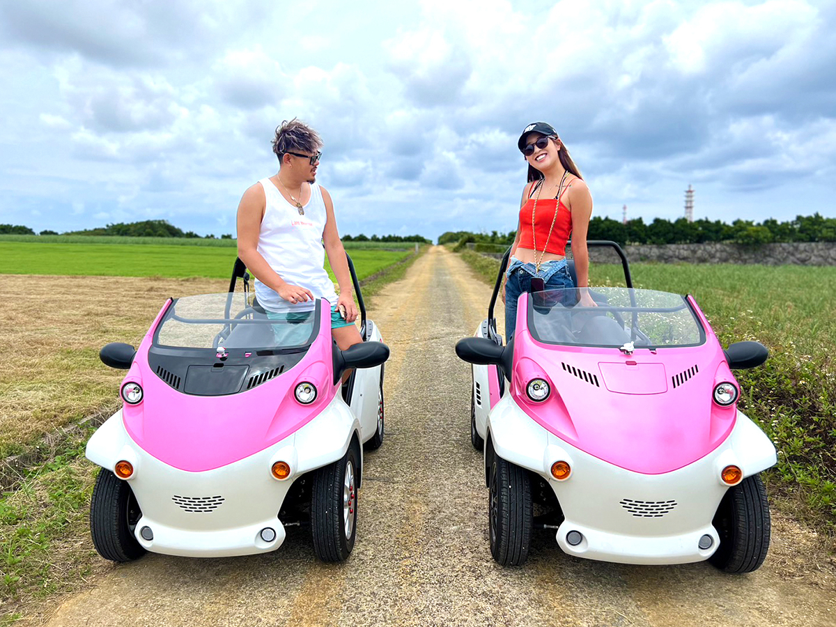 w^reB@COMSx͓Hʖ@́A~jJ[iʎԁjƂȂ܂̂ŕʖƋŏꂿႢ܂Iʐ^͊ĴI[v^Cv̎ԗłI