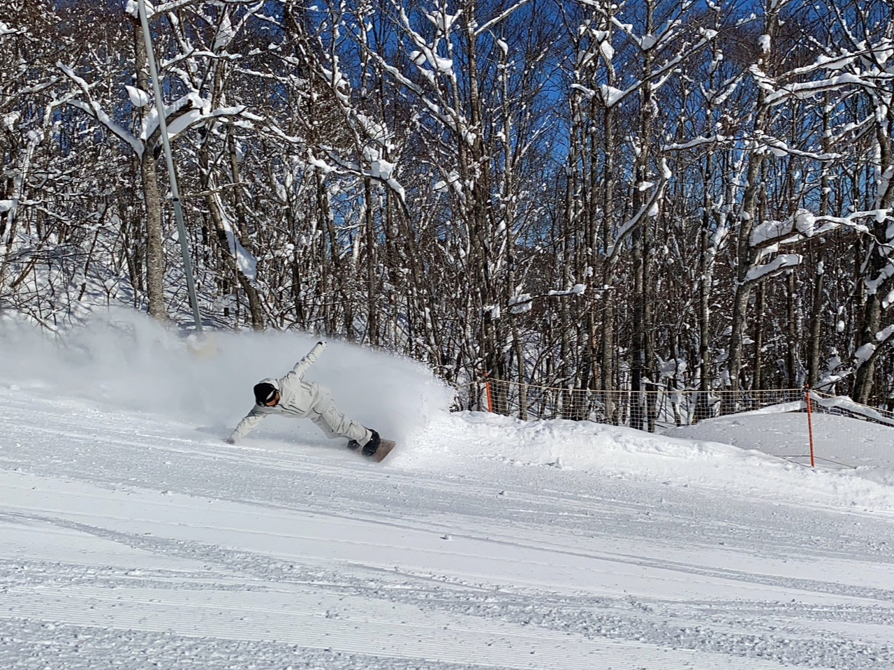 ������h��ȃX�^�C�����g�ɂ���ƁA������鑶�݂�!