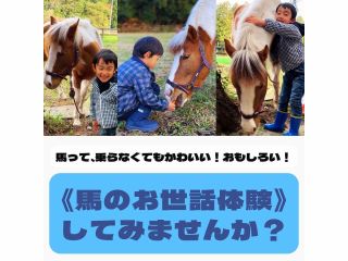 大人もお子様も楽しめます!