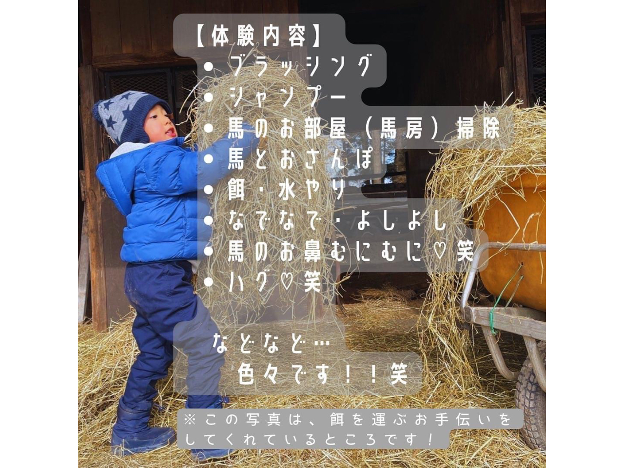 ȂƂĂ݂IȂǁACyɂ\tI