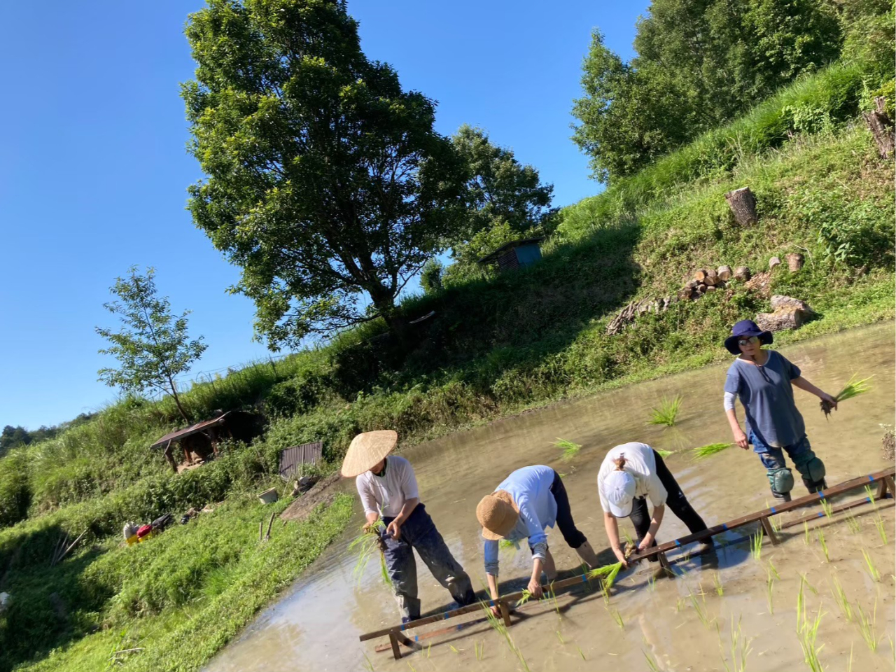 ���R�_���ق̂ځ`�̂̎ʐ^3