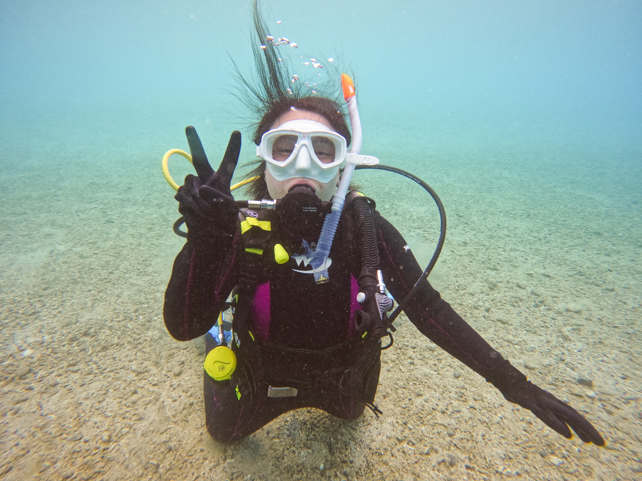 写真や動画も無料プレゼント♪