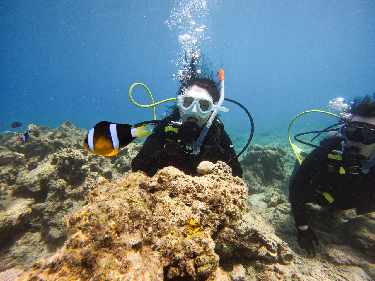 N}m~ȋ߂łώ@łႢ܂