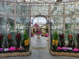 フローラルドームふらら