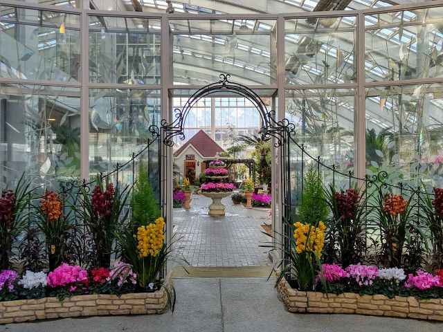 フローラルドームふらら